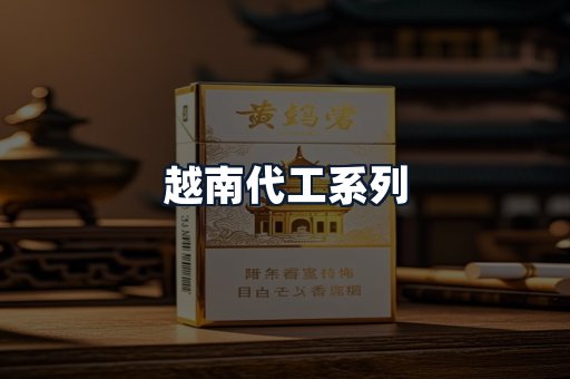 越南代工系列